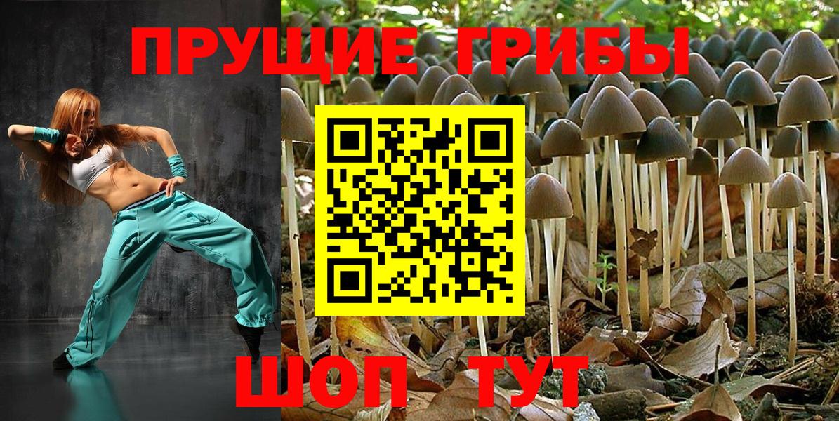 Псилоцибиновые грибы мицелий  Галлюциногенные грибы Psilocybine cubensis  Вход с VPN  Подольск 
