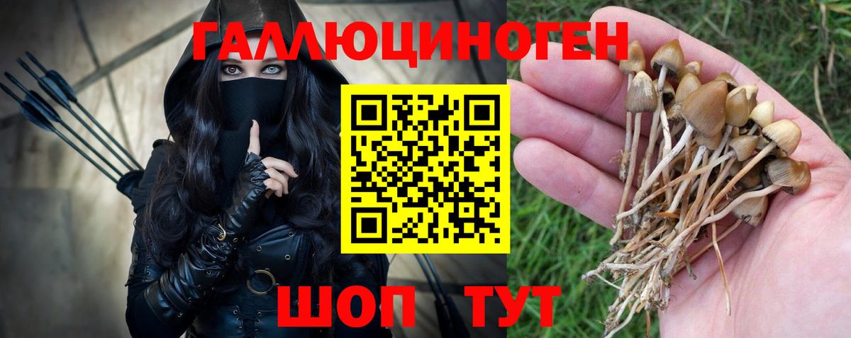 Псилоцибиновые грибы GOLDEN TEACHER Подольск